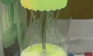 Jellyfish Bluetooth Speaker